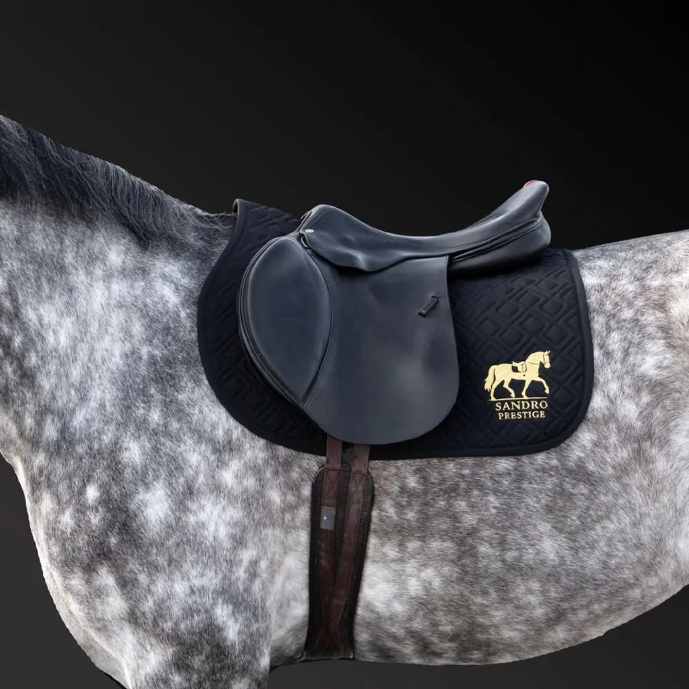 Чёрный вальтрап с золотым логотипом под седлом, вид сбоку крупнее